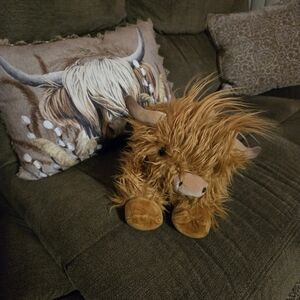 Cuckool HIGHLAND COW